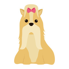 cartoon cute dog icon over white background. coloful design. vector illustration