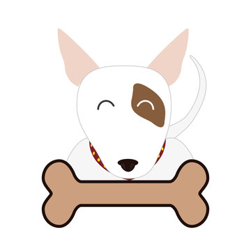 cute dog and bone icon over white background. colorful design. vector illustration