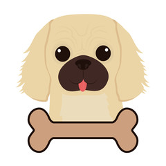 cute dog and bone icon over white background. colorful design. vector illustration