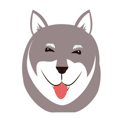 cute dog face icon over white background. colorful design. vector illustration