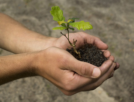 Natur in unserer Hand