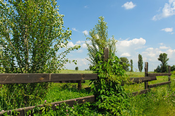 Country Timber Fence
