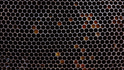 yellow dark honeycomb with spaces. for the background.