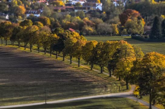 alley in the fall