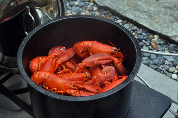 Lobster Boil