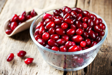 Ripe cornel (cornelian cherry, dogwood berry, dogberry-tree)
