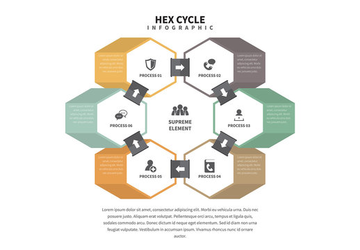 3D Hex Cycle Infographic