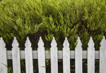 White wooden fence in a garden