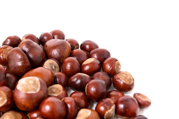 brown chestnuts