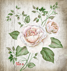 Naklejki  Akwarela vintage róże herbaciane na drewnianym tle