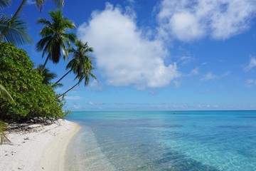French Polynesia Apataki Atoll