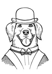 Portrait of a Labrador retriever with a bowler hat - vector - 133024398