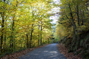 Naklejka premium Serra da Estrela