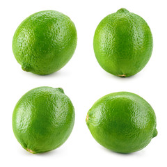 Lime. Fresh fruit isolated on white background. Collection.