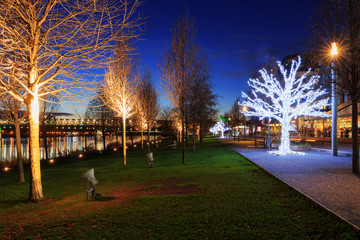 Christmas trees near river Danube in Bratislava, Castle with nig