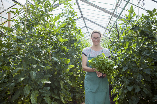 Female gardner working in greenhouse