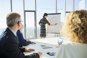 Businesswoman explaining business strategy to colleague in office