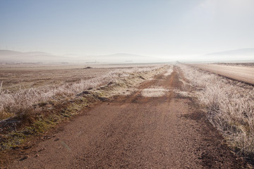 camino en invierno