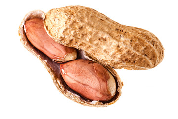 Open peanut on white