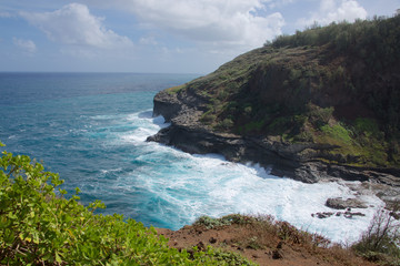 Fototapeta na wymiar Kīlauea Point National Wildlife