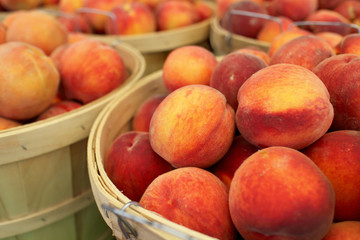 Bushel Baskets of Fresh Peaches