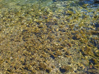 Clear water