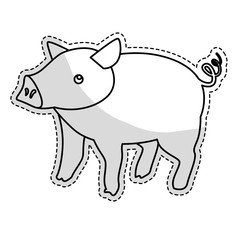 pig animal icon image vector illustration design 