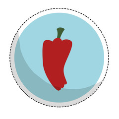 bell pepper vegetable emblem  icon image vector illustration design 