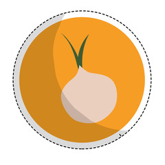 onion vegetable icon image vector illustration design 