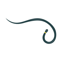 Snake reptile cartoon vector