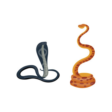 Snake reptile cartoon vector set.