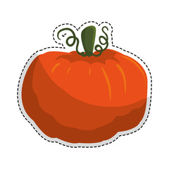 pumpkin vegetable icon image vector illustration design 