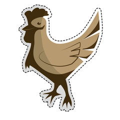 hen or chicken animal icon image vector illustration design 