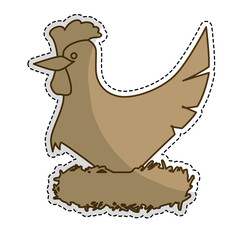 hen or chicken animal icon image vector illustration design 