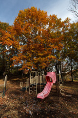 Fall Playground