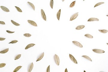 Dried brown leaves frame on white background. Flat lay, top view