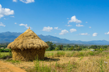 Harvesting of straw looks like a cottage in Pai, Thailand