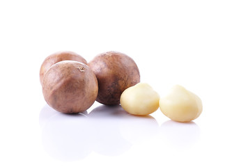 Macadamia nut isolated on white background.