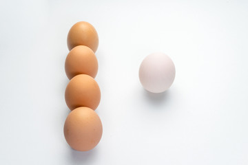 Egg line on white background