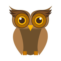 Owl cartoon icon. Bird animal and nature theme. Isolated design. Vector illustration