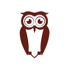 Owl cartoon icon. Bird animal and nature theme. Isolated design. Vector illustration