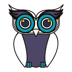 Owl cartoon icon. Bird animal and nature theme. Isolated design. Vector illustration