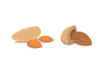 Vector collection of cartoon isolated almond. helthy nuts vegeterian food