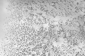 closeup drops of water on the car after rain