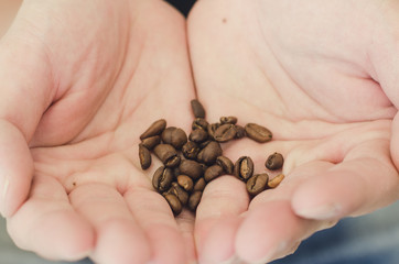 hand holding coffee beans.
