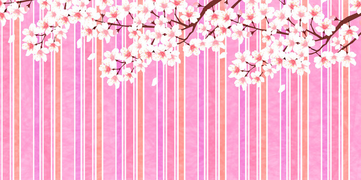 桜　春　花　背景