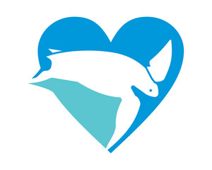 blue heart turtle