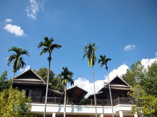 Fototapeta na wymiar Thailand wooden house, garden Thailand, Thailand pavilion