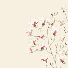 背景イラスト　木蓮