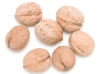 walnuts on a white background